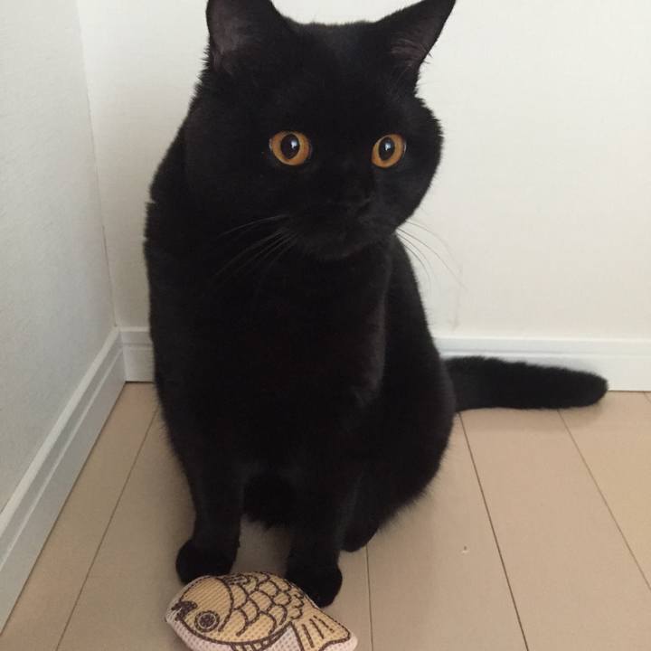 77c7ebfd b801 4284 903d 87a5fe64961f