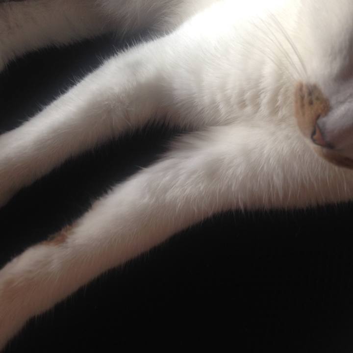 77c7ecc6 d6e6 47a7 af63 5a03ed2b6c19