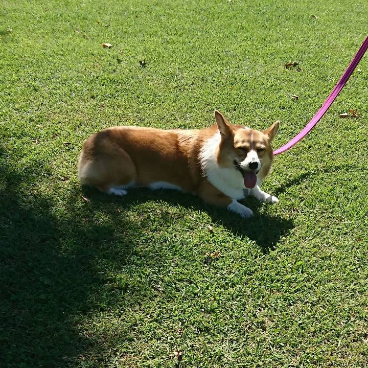 77c80f5e cd64 4952 917d d9ef1142bd27