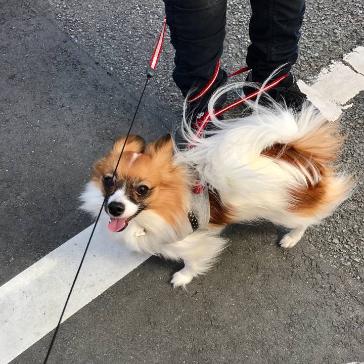 77c87c02 2b2b 48ac a480 2fc40eb0d543