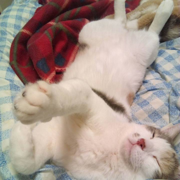 77c8d0dc 08c5 466e 9ad5 f32dda8f80ae