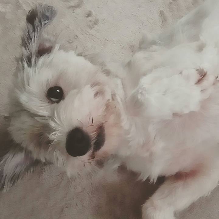 77c9d908 f42c 4159 bbd5 4fab737ad443