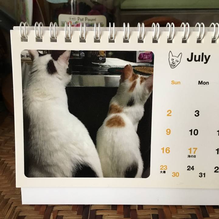 77c9e653 a134 417b a86d 512927f8681c