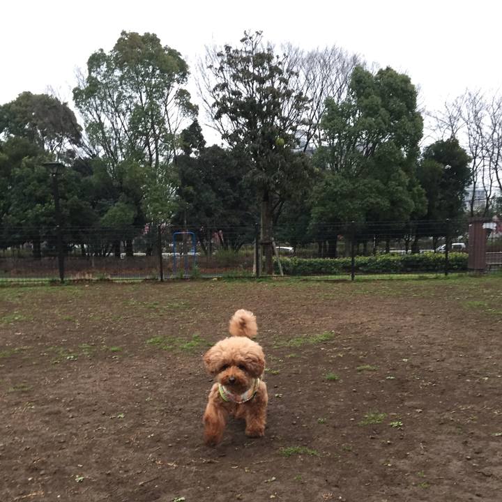 77c9f218 cef2 41c8 adb6 9d5ede3437d4