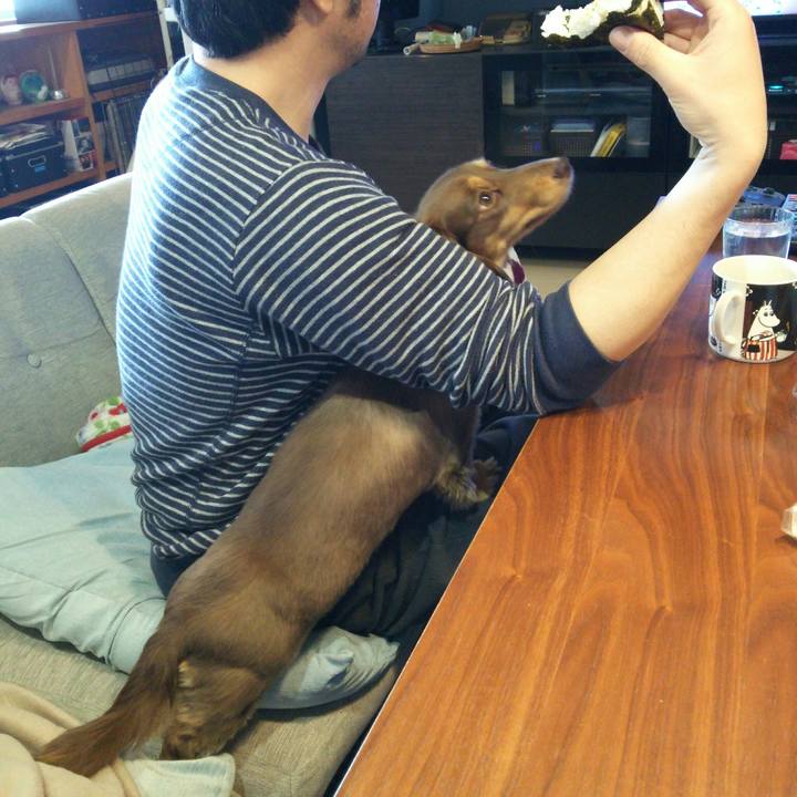 77ca4372 e293 4fbd 99e0 3c074394af8d