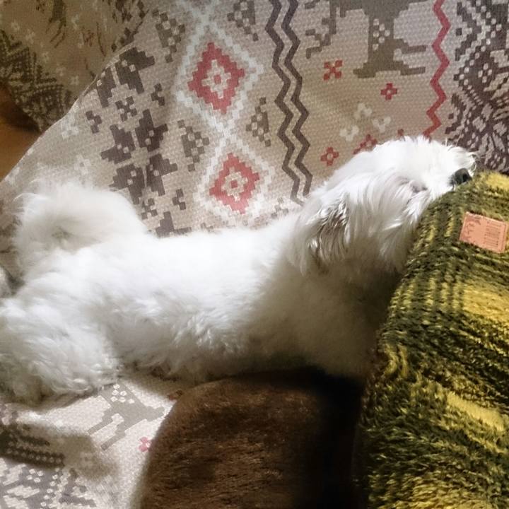 77ca91d2 0553 4c98 b184 7dc27e0e4edb