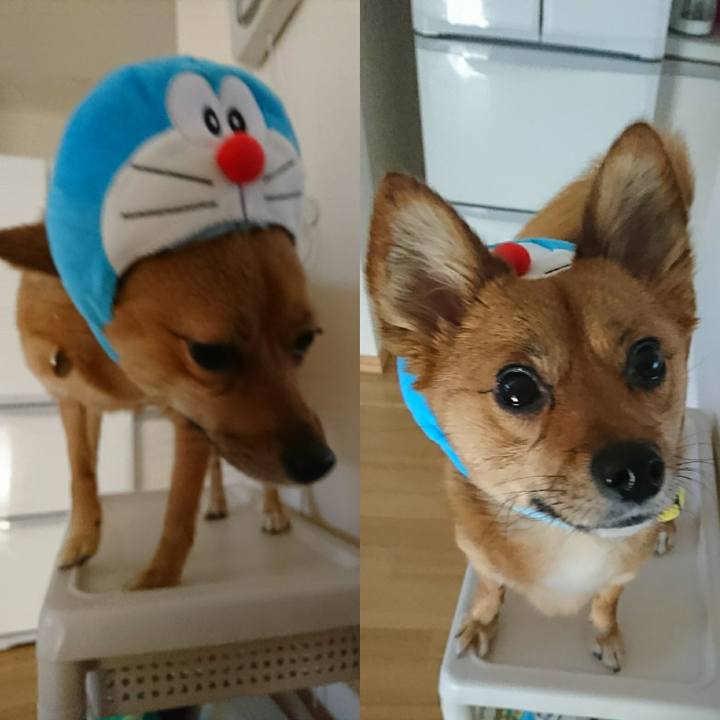 77ca9875 0507 4c35 8914 2bb2265152e6