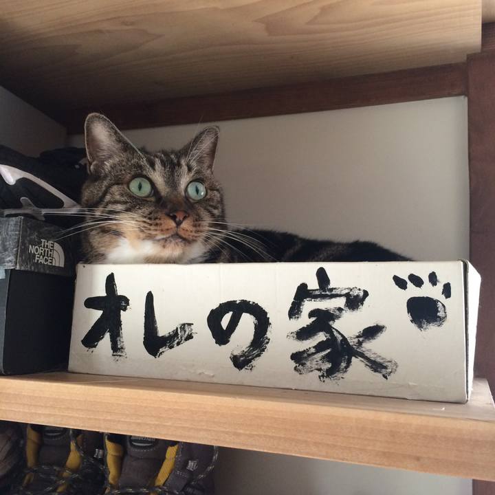 77caf481 51d5 4f6f 9361 3731f981eaba