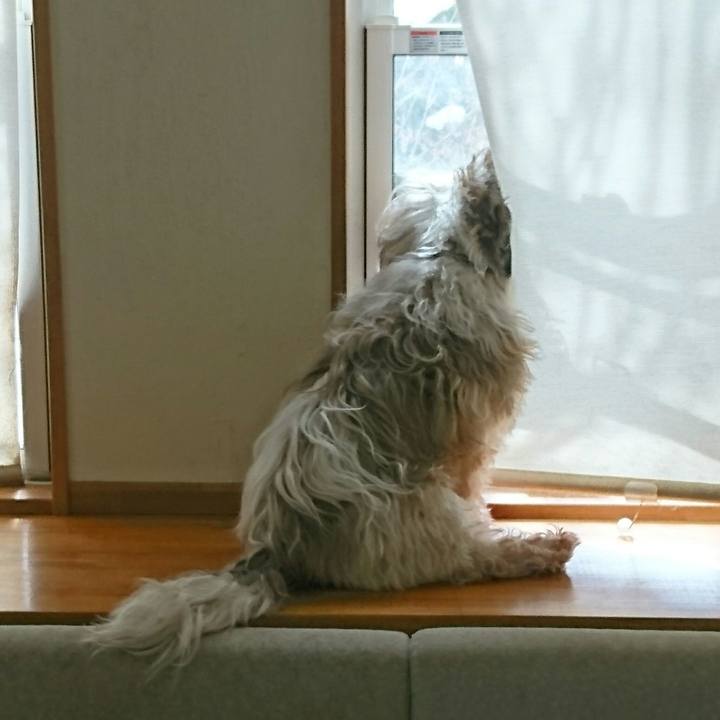 77cb1713 2d17 4f39 b286 43a1718f5dba