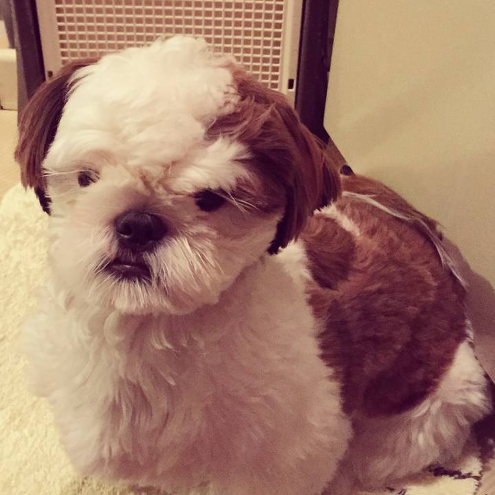 77cb51fb 7821 4515 957d db4bb7f06865