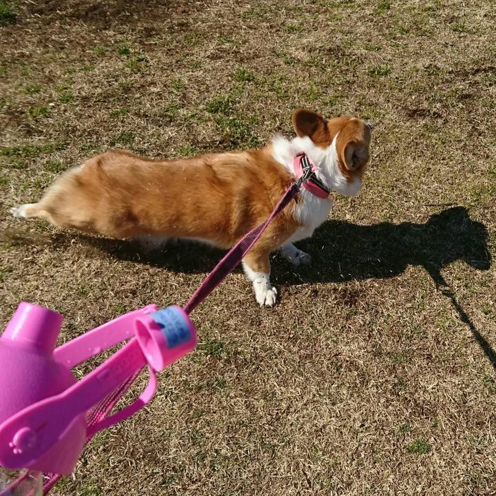 77cc3a9a 59a4 43b3 9ffc 9f4e28ddfa80