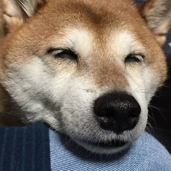 77cc9063 d39b 4dec bc84 634614d139ee