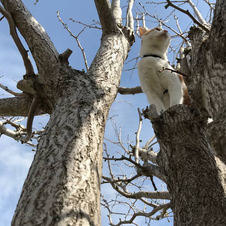 77cdc11d 1bb1 433c b67d 69cc227b6c16