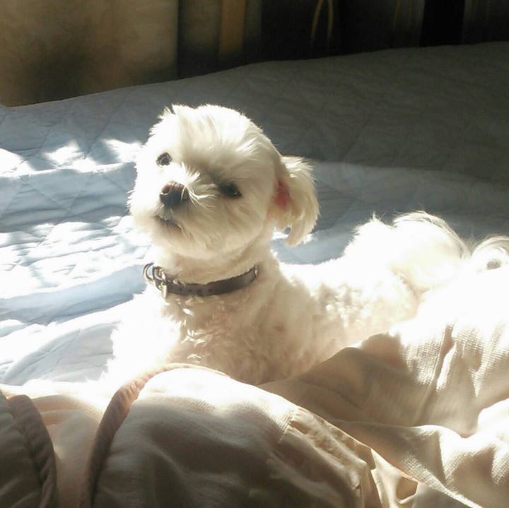 77cde9a2 a0e4 4012 8da4 e37196cfa2e1