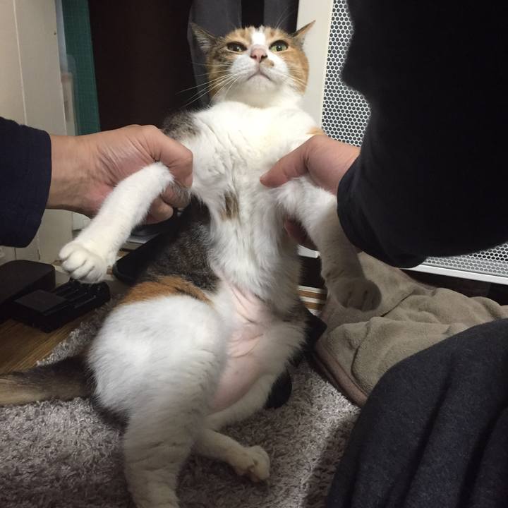 77cea449 798e 45b5 8125 5cab3c378eaf