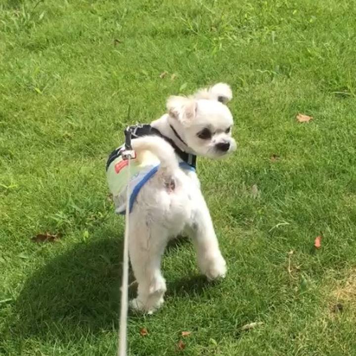 77ced48f d0c5 4eaf a3c7 0f2562b4d4fb