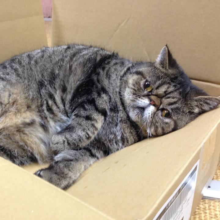 77cf26a6 0692 4a2f 96d0 c1820b2db132