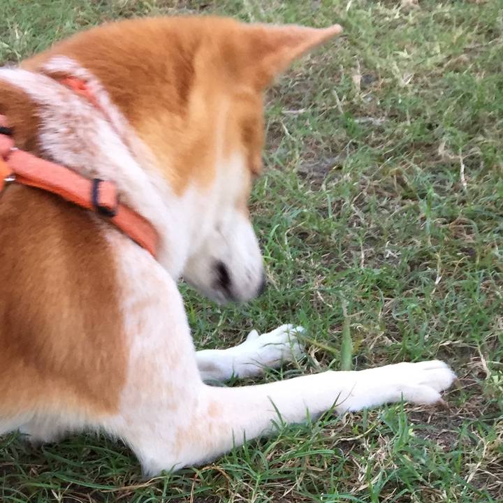 77cfa45a 3997 44a7 80e8 7918ee4df35c