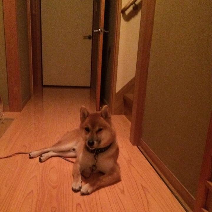 77cfef7e ae6d 45cb 988c ca7f65c8d6eb