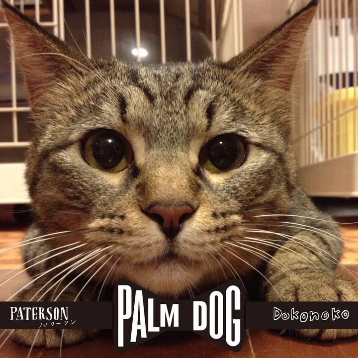 77d08740 c2c5 48bc 83f7 2bb9f1216f14