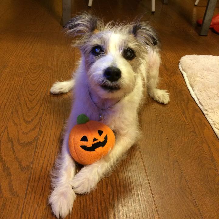 77d0ddfe fc2f 4308 aec6 c4f938a3ba12