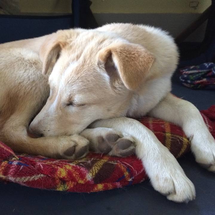 77d23694 06f0 4df3 a1d3 e1fffd82f120