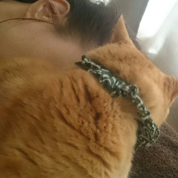 77d30b39 855c 4442 95cc e9823c84fab6