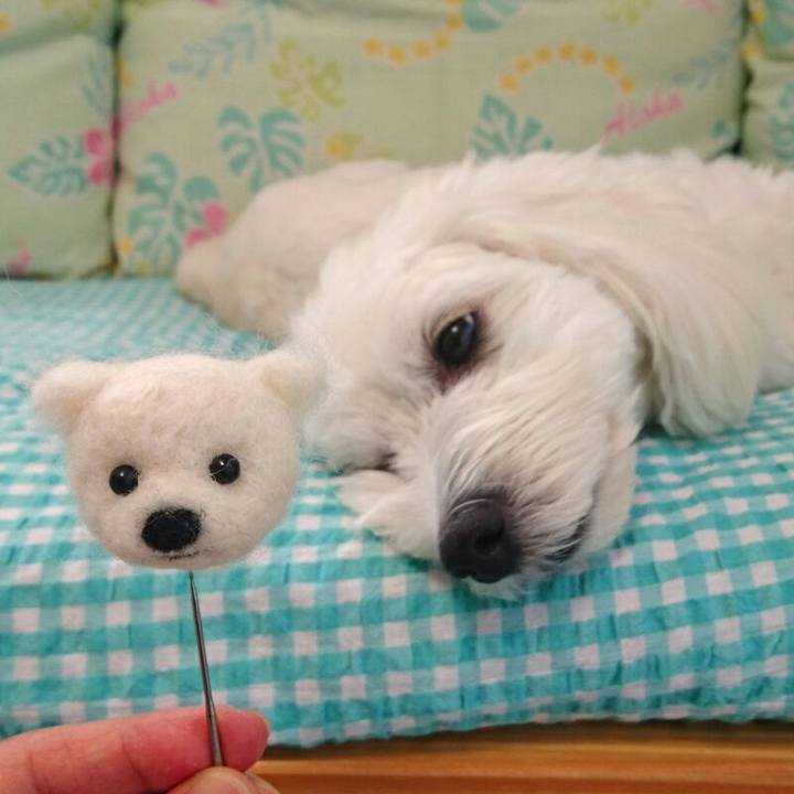 77d32df5 c52f 4e44 82c4 7715aa60b1f7