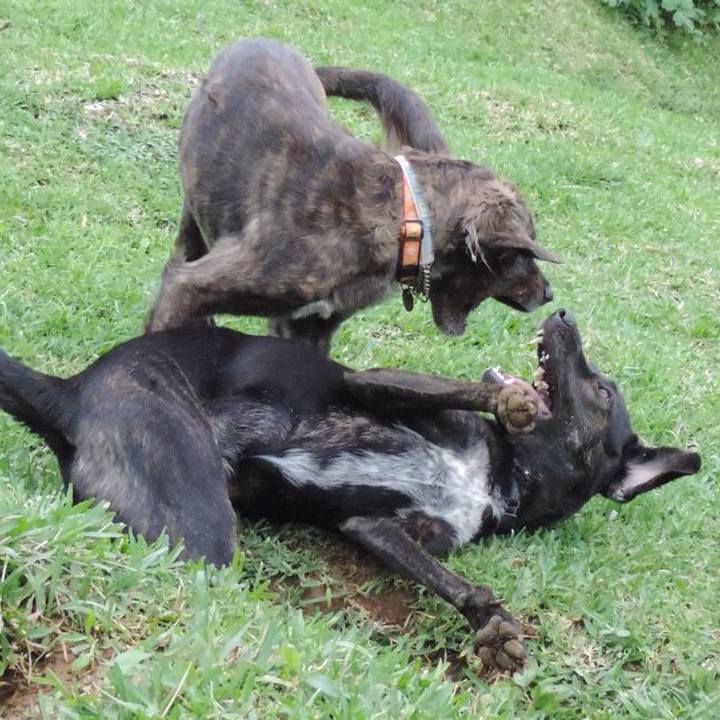 77d34bba 8d30 471b bf15 cff62b9e8cb2