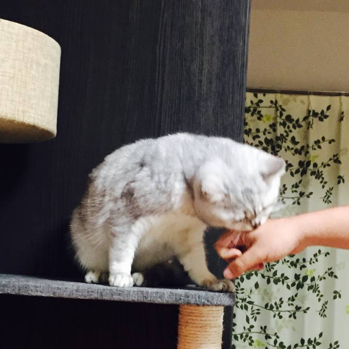 77d3f8ed 9105 4c00 8642 ab309bd4ae4b