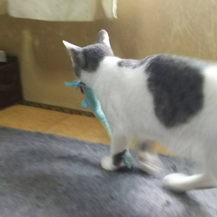 77d4264f ebf4 4492 a959 b4527096a3cb