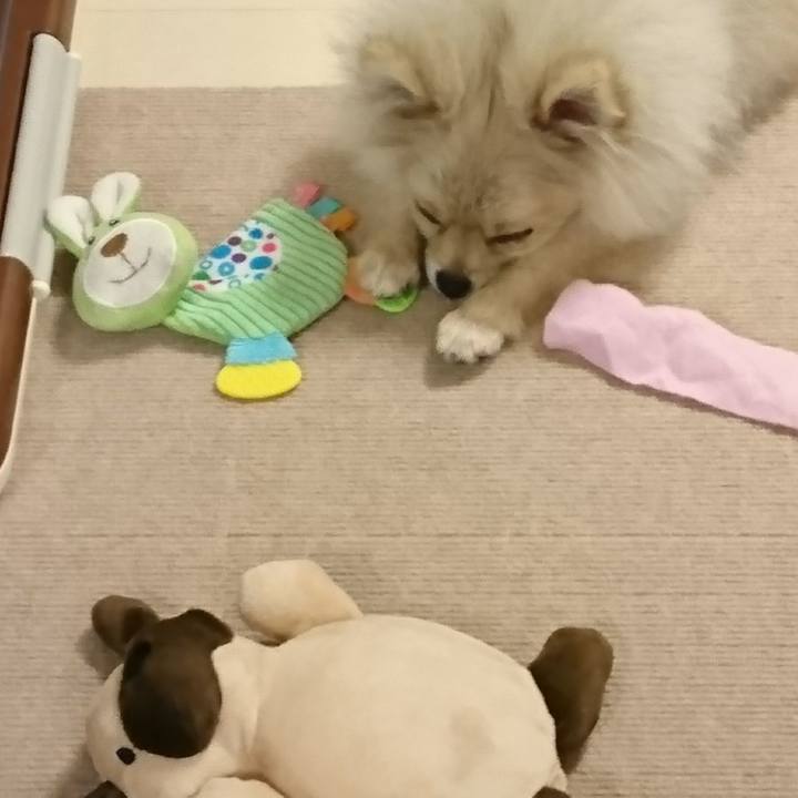 77d4b915 499e 43d8 9364 4dda4d6efea9