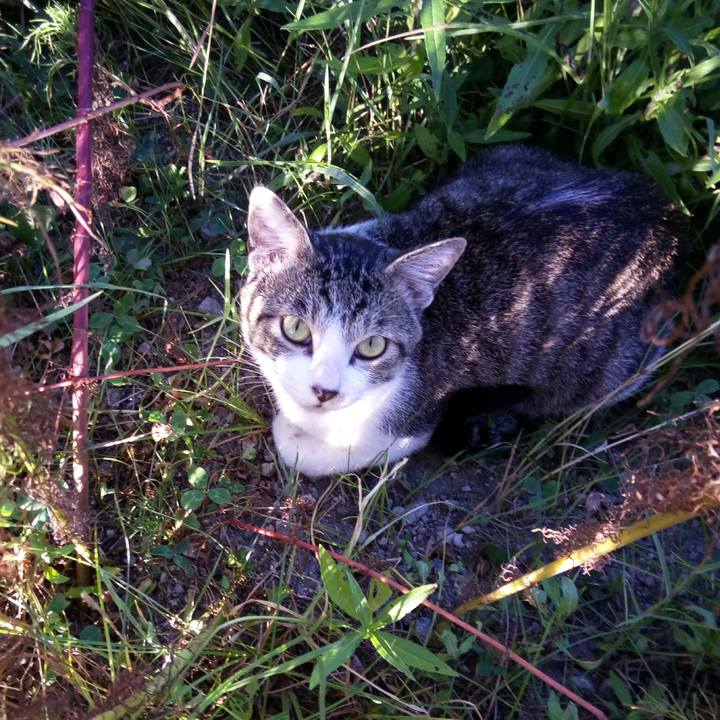 77d524c0 2b1f 4349 8725 6bc73be33f13