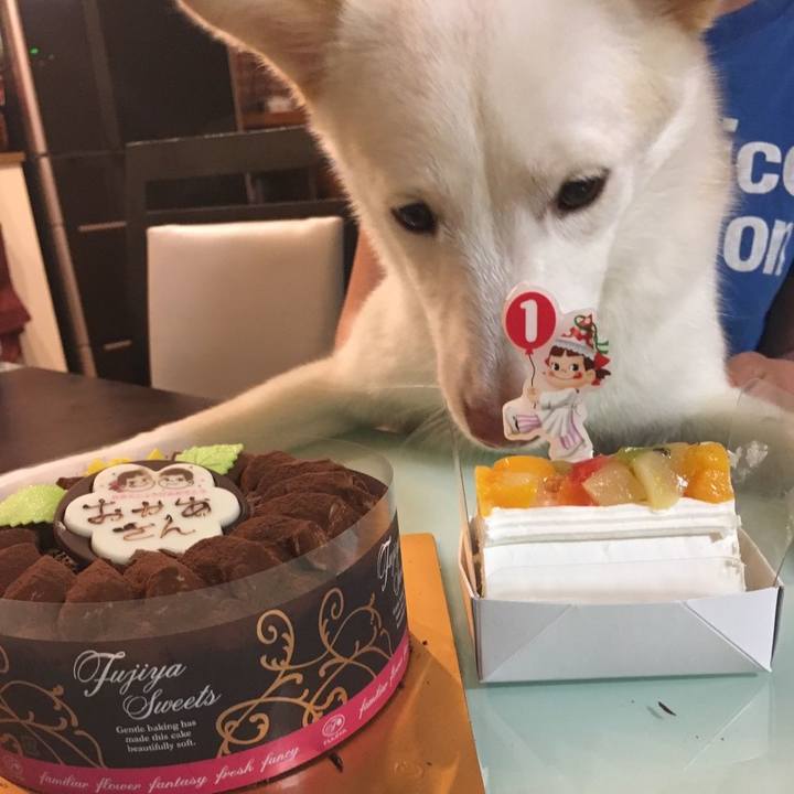 77d5c357 5add 4074 b942 5df61353b436