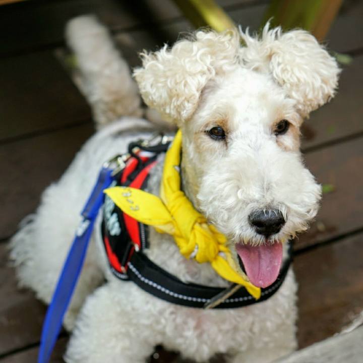 77d61fba 7c0d 4cb1 8d11 38850d2917fc