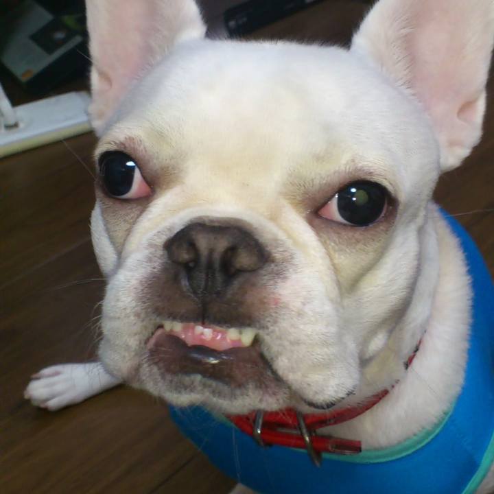 77d69077 c171 4e05 8911 5371a0b70487