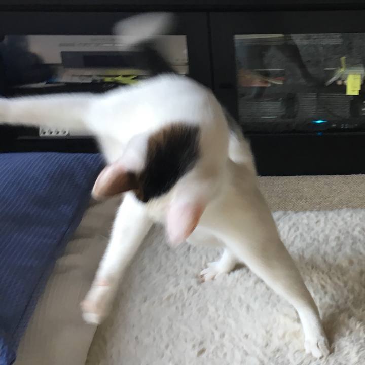 77d6d321 d67d 4747 9600 c97fb1e1b9f6