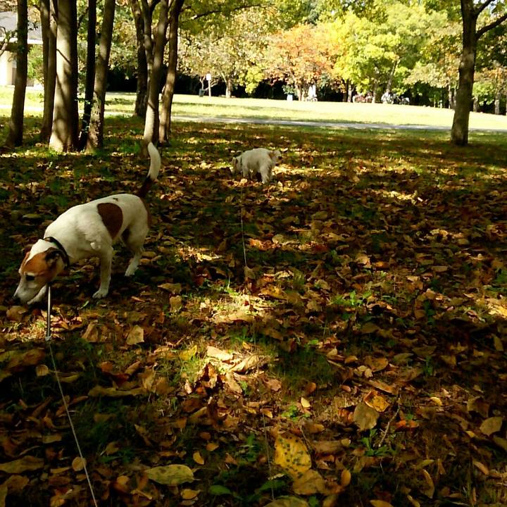 77d6f520 a621 40f9 9804 d69e628f6619