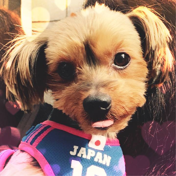 77d6f7a9 2938 4bd5 9f36 047efee39c6d