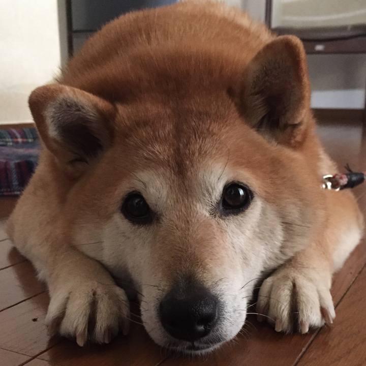 77d70d3b 10e3 4e8b bb40 a45645ba253f