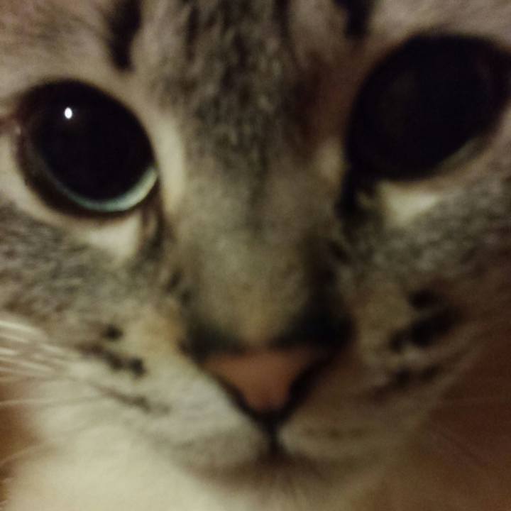 77d749ce 1834 4539 be57 c85f3632b175