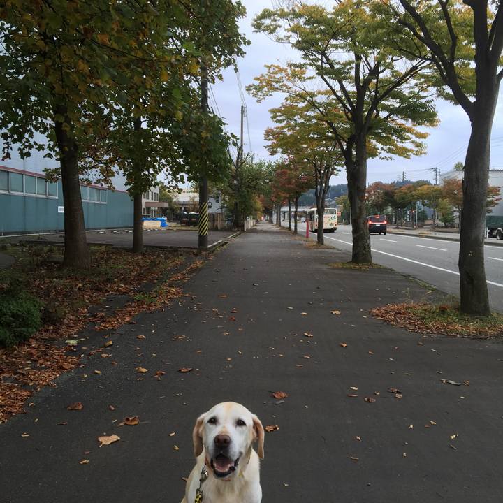 77d78f3a 0e08 48de 82c0 cd77ff955613