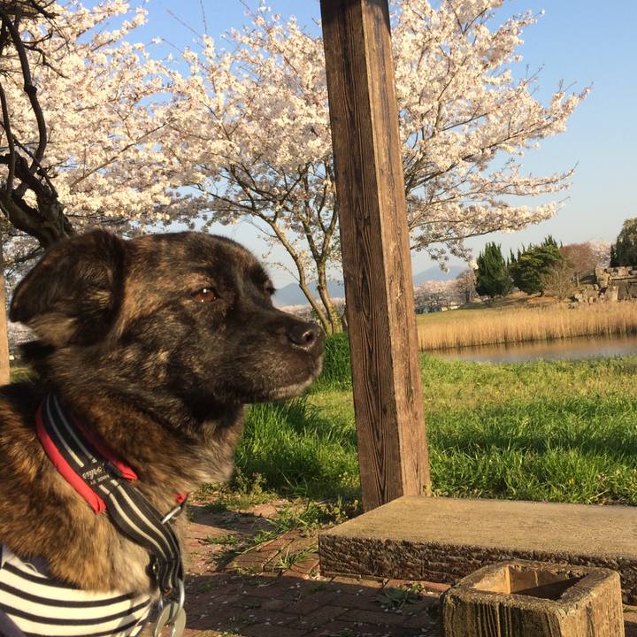 77d7b37b 4870 41f6 8097 704a90769d19