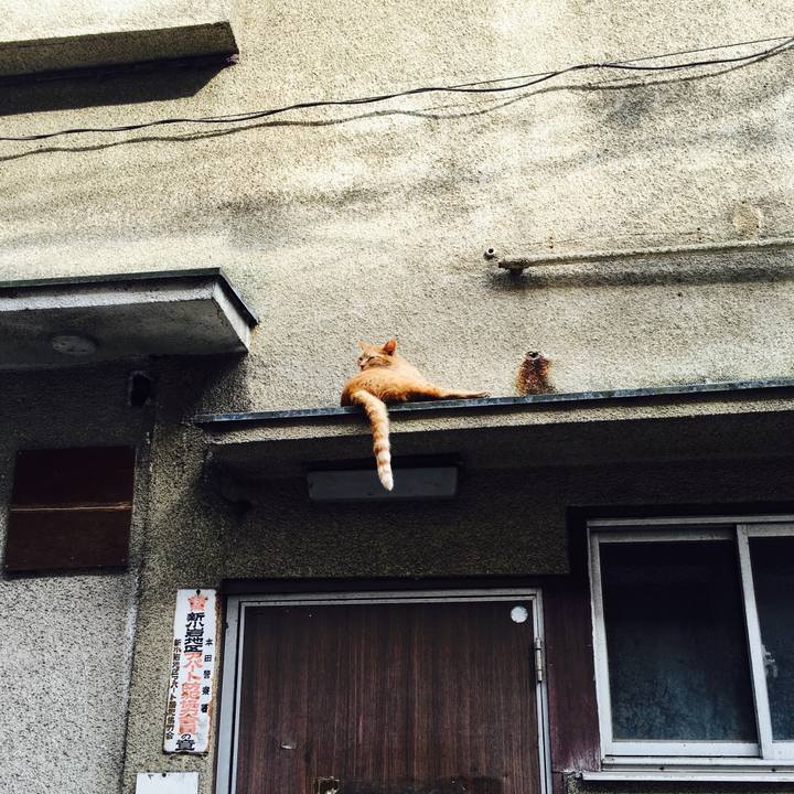 77d7edfe a26e 4099 879f ccf5c6d86d81