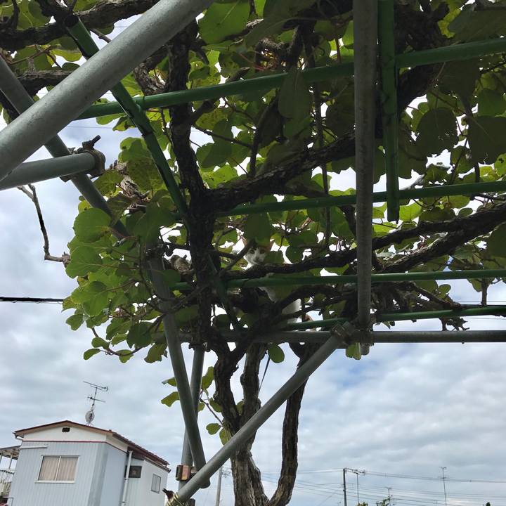 77d80375 a5e4 4d67 90ab 98d64d3e2fce