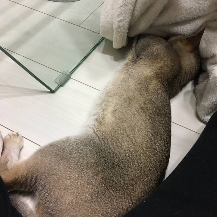 77d8186c 5832 40b1 8f86 9e40cc121c08