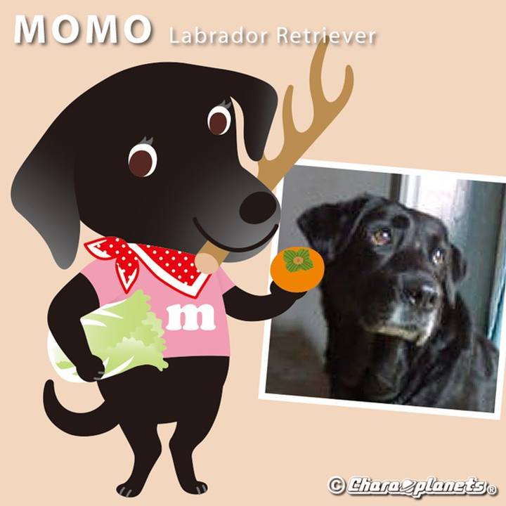 77d84986 651a 4d2c a434 4233762dde16