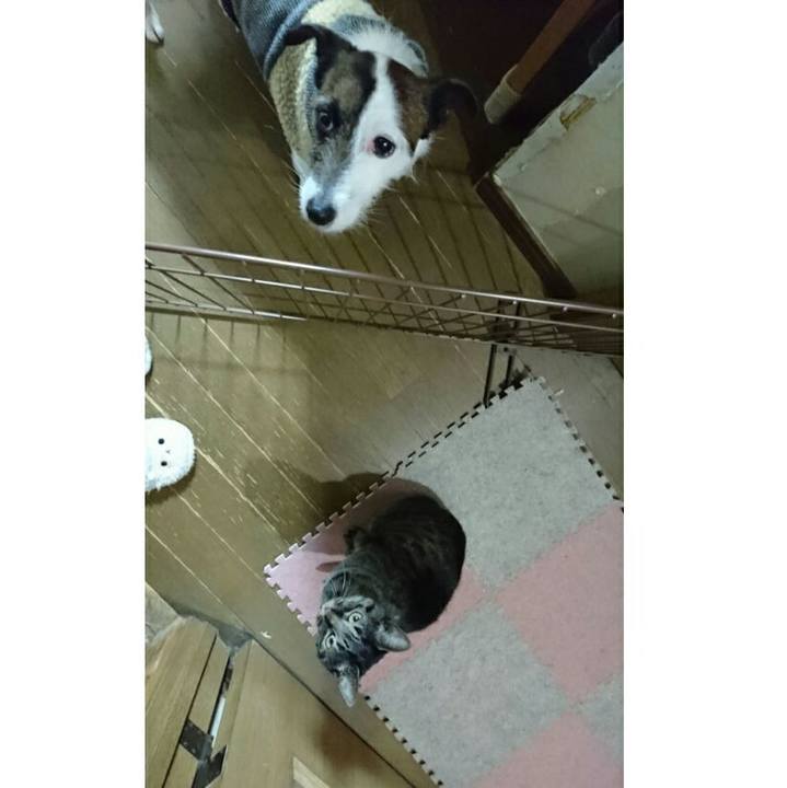 77d8e9fd 2af9 4225 869a 27e3bb6bd20b