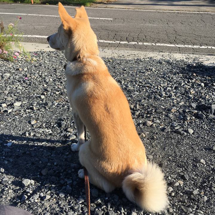 77d8f346 bdbe 44d9 966d 1234f2057ecb