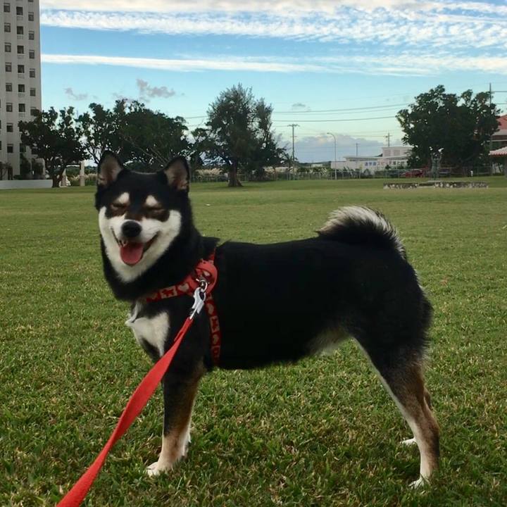 77d9026d b59b 463a 8f6b d75c2b2b68ff